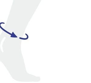 Ankle Diagram